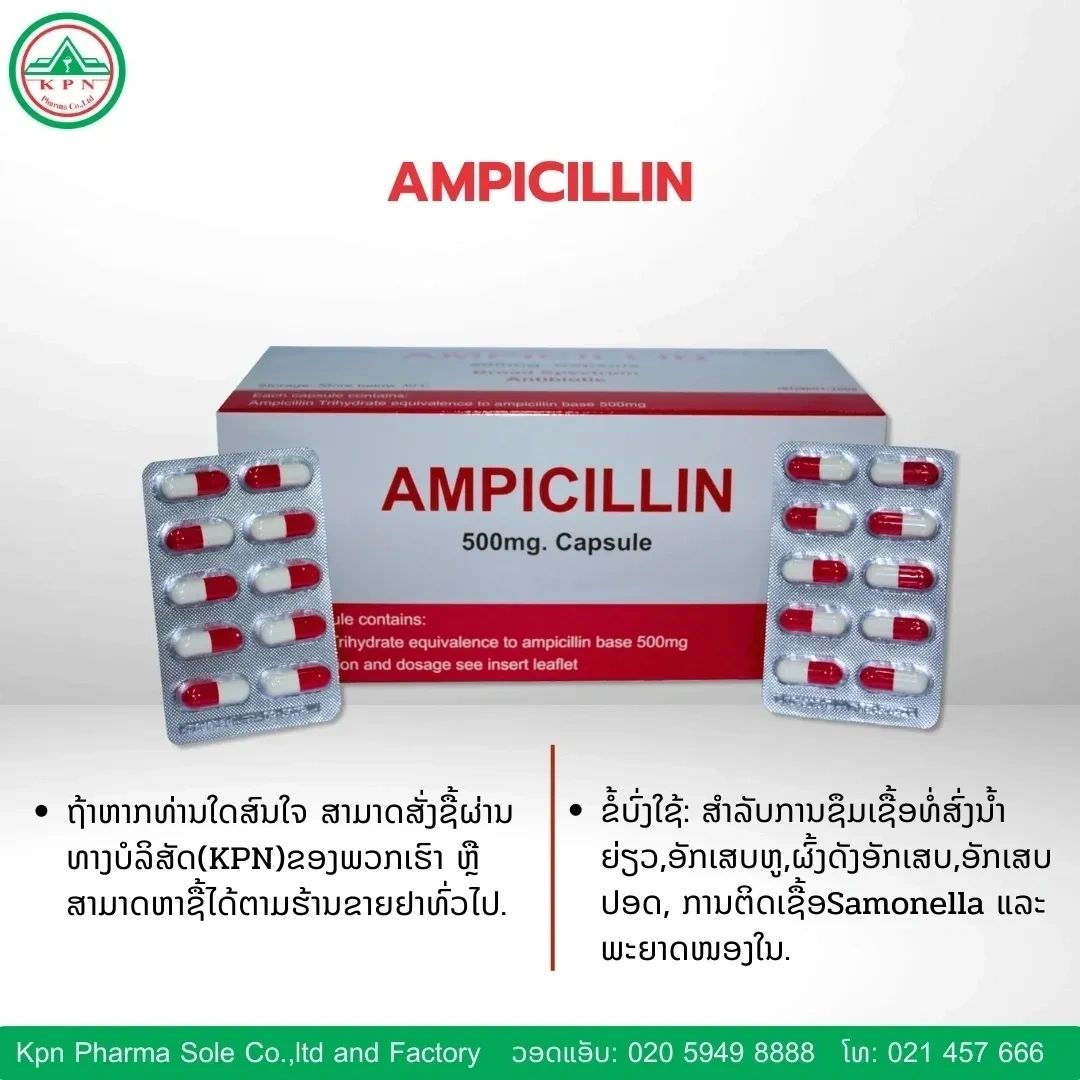 Ampicillin 500mg capsules by KPN Pharma
